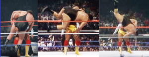 Hulk Hogan André the giant