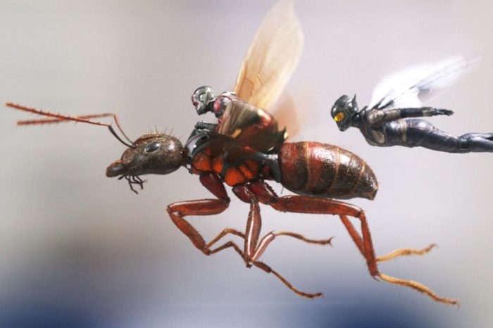 ant_man_wasp_review_1
