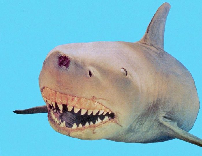 Go Behind The Scenes of JAWS 3 And Go A Little Crazy in The Process